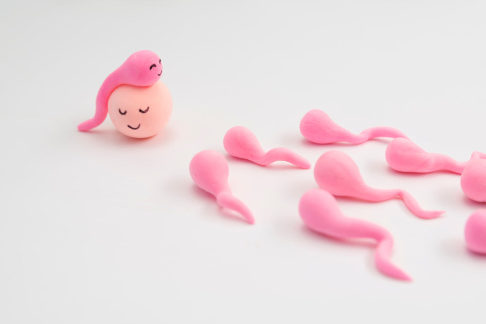 Does the Egg Choose the Sperm? And Why That Matters for Skincare (Yes, Really)