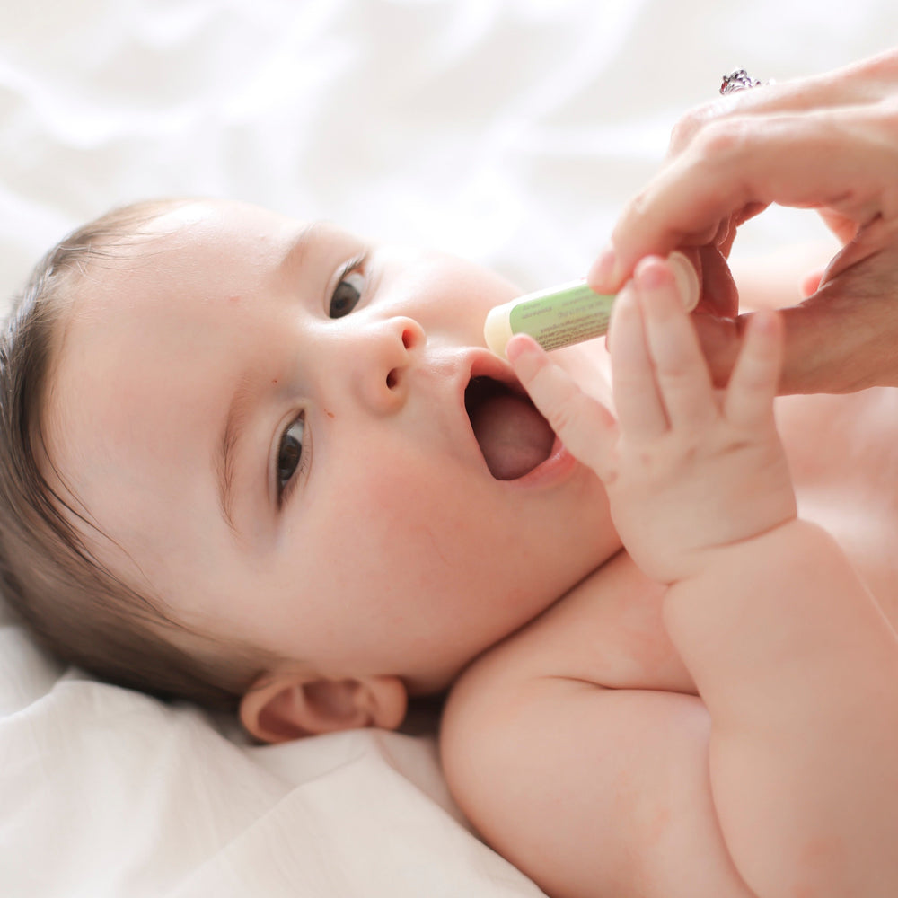 Bálsamos Labiales Smoocha